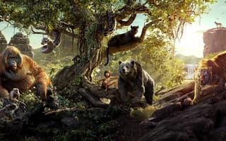 Картинка тигр, змея, медведь, the jungle book, фильмы, пантера, обезьяны, мальчик