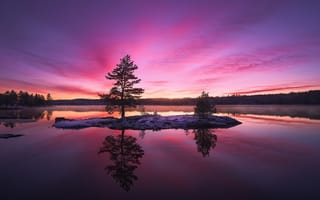 Картинка природа, норвегия, островок, ole henrik skjelstad, осень, дерево, озеро, ноябрь, снег