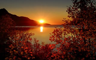 Картинка горы, солнце, ветки, озеро, листья, осень