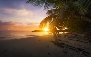 Картинка закат, island, индийский, ocean, остров, анс-буало, пальмы, маэ, anse boileau, пляж, seychelles, indian, океан, сейшельские острова, mahe