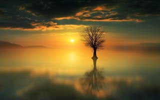 Картинка небо, солнце, вода, дерево