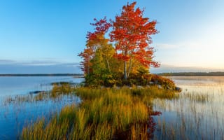 Картинка деревья, осень, пейзаж, река, водоём, остров