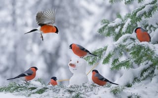 Картинка снег, снегирь, полет, Зима, снегири, елка, птицы мира, снеговик