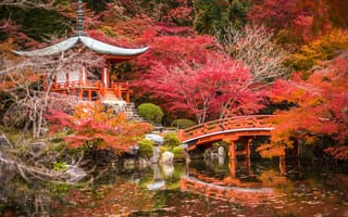 Картинка деревья, мосты, япония, сады, осень, пруд, киото, пагоды