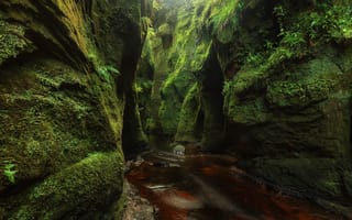Картинка природа, вода, скалы, шотландия, мох, ручей
