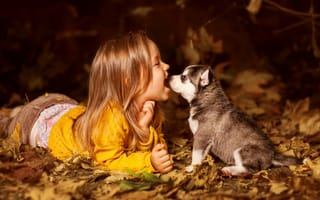 Обои осень, малышка, девочка, щенок, игра, ребенок, собака, листья