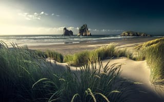 Картинка природа, новая зеландия, дюны, лето, побережье, пляж