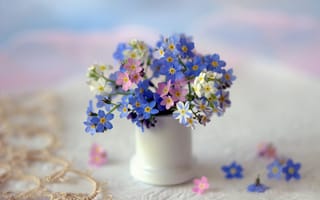 Картинка цветы, незабудки, вазочка