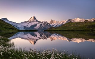 Картинка горы, цветы, озеро, снег, небо, отражение