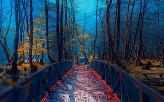 Картинка осень, парк, листва, sejmenovic, босния, река, мост, mevludin