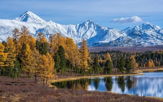 Картинка деревья, горы, горный алтай, осень, озеро, озеро киделю, лес, Россия, алтайские горы