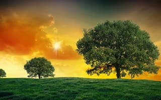 Картинка деревья, луч, зелень, солнце