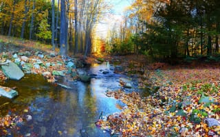 Картинка пейзаж, река, осень, камни, лес