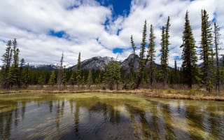 Картинка деревья, горы, banff national park, sulphur mountain, canada, alberta, канада, озеро, банф, альберта