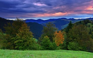 Картинка деревья, горы, пейзаж, румыния, небо, холмы