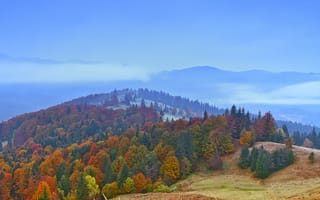 Картинка деревья, холмы, лес, осень, румыния, пейзаж