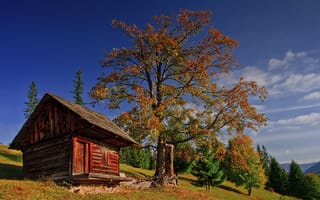 Картинка природа, деревья, небо, домик, пейзаж, осень