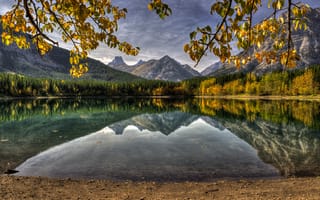 Картинка горы, озеро, листья, отражение, лес, ветки, канада