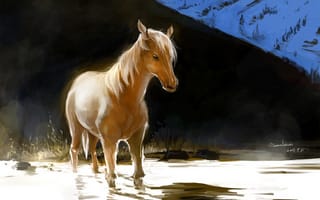 Картинка лошадь, ocean, конь, вода, арт, рыжий, холм, pixiv, свет