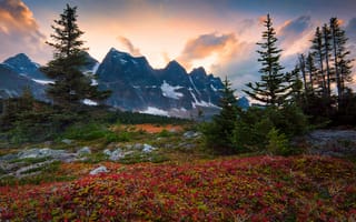 Картинка canada, fall color surrounding the ramparts - the ramparts, tonquin valley, alberta, jasper national park