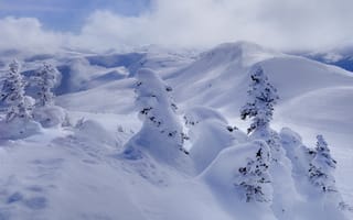 Картинка canada, whistler, bc, winter fragility - garibaldi park