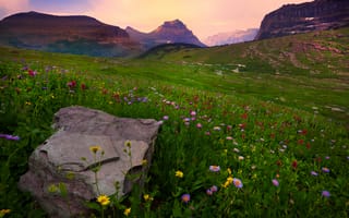 Картинка glacier national park, the valley of light and color - logans pass, montana