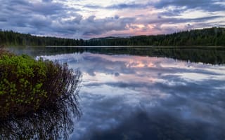 Картинка canada, campbell river, lake provincial park, morton lake, morton, british columbia