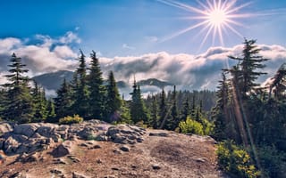 Картинка canada, west vancouver, british columbia, eagle bluffs hike, mountain top sun star