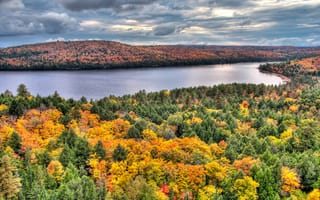 Картинка canada, algonquin park, rock lake in fall, booth rock trail, ontario