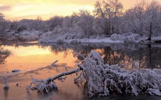Картинка лес, Зима, рассвет, водоём