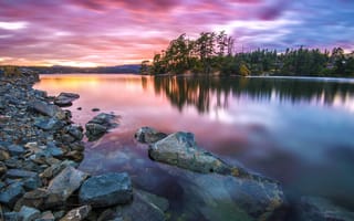 Картинка forest, stones, river