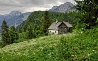 Картинка деревья, hallstatt in austria, горы, дом