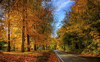 Картинка england, gb, winchester, hampshire, autumn color