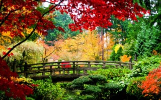 Картинка природа, деревянный, деревья, листья, осень, мост