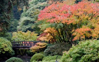 Картинка деревья, портленд, мост, пейзаж, японский сад
