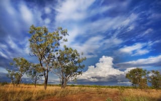 Картинка australia, the outback, pine creek