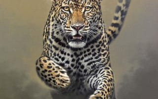 Картинка кошка, леопард, прыжок, пятна, грация, скорость