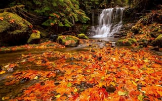 Картинка природа, осень, листья, камни, водопад, лес