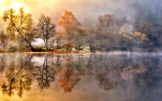 Картинка trees, scotland, lake, reflection, loch ard, gb