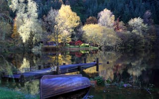 Картинка trees, reflection, scotland, loch ard, lake, gb
