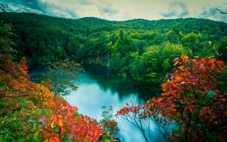 Картинка деревья, осень, водопады, лес, оригинал, озеро, пейзаж