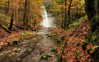 Обои природа, лес, водопад, река, деревья, осень