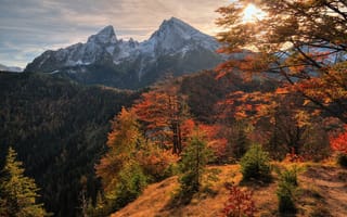 Картинка деревья, пейзаж, горы, осень