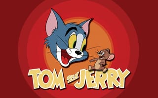Обои кот, том и джерри, tom and jerry, мышь, мультфильм, заставка