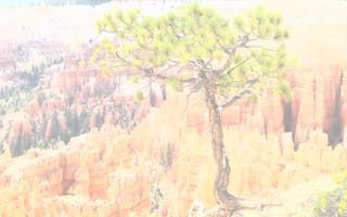 Картинка пейзаж, штата юта, брайс-каньон, скалы, сша, горы, дерево