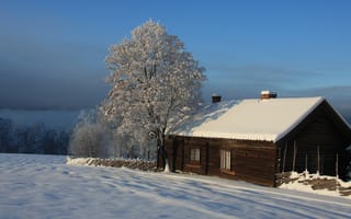 Обои деревья, пейзаж, дом, Зима