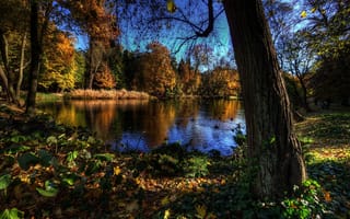 Картинка деревья, осень, озеро, птицы, пейзаж 2