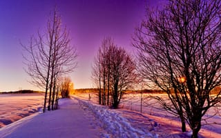 Обои природа, пейзаж, снег, Зима, деревья