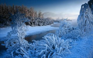 Картинка закат, пейзаж, река, деревья, Зима