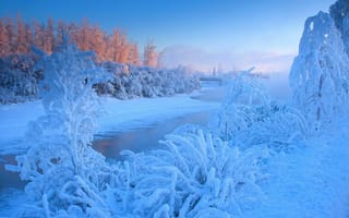 Картинка деревья, река, рассвет, Зима, пейзаж